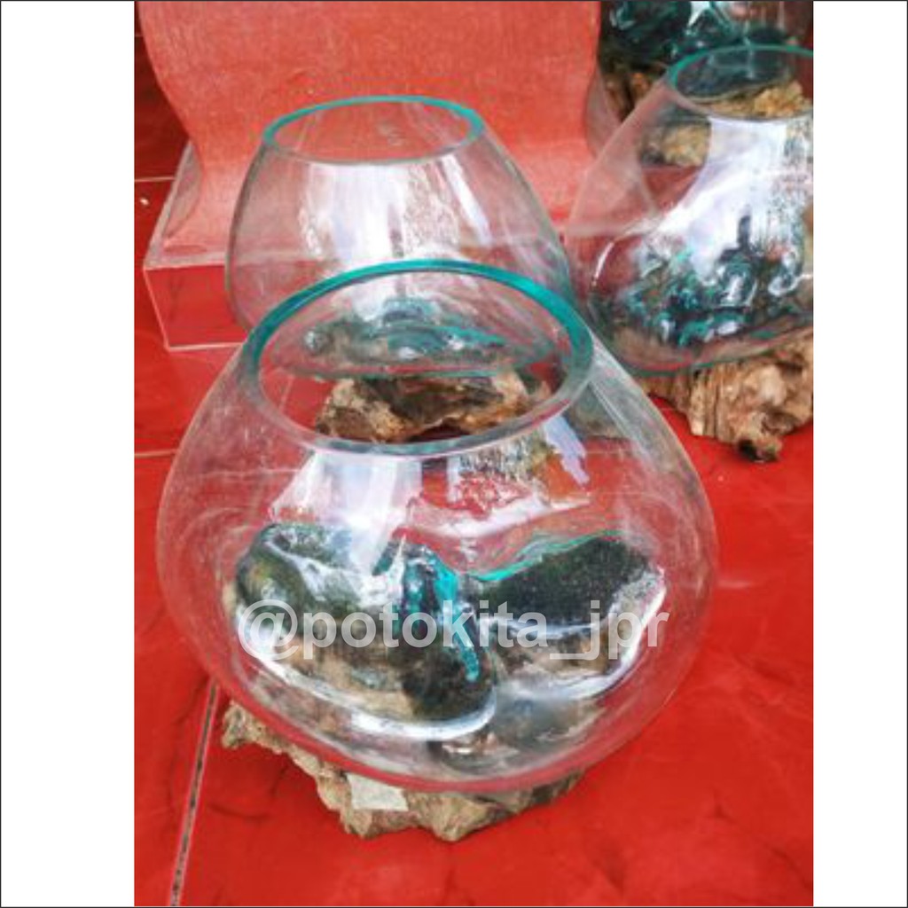 Aquarium Kaca Akar Kayu Jati Unik Shopee Indonesia Aquarium akar kayu jepara