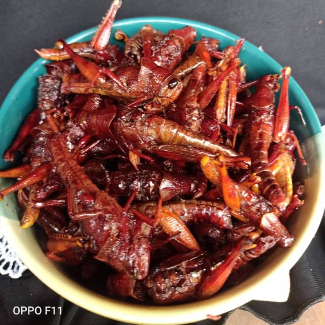 

Omah walang mbak tanti.. belalang goreng 3 rasa ukuran 200gr