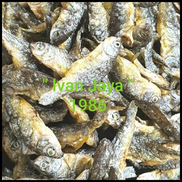 

Ikan Danau singkarak/bilih kecil/bilis/Tawar padang 1kg/1000 gram