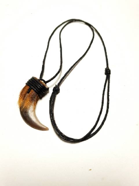 Kalung Liontin Taring Kuku Sapi Asli