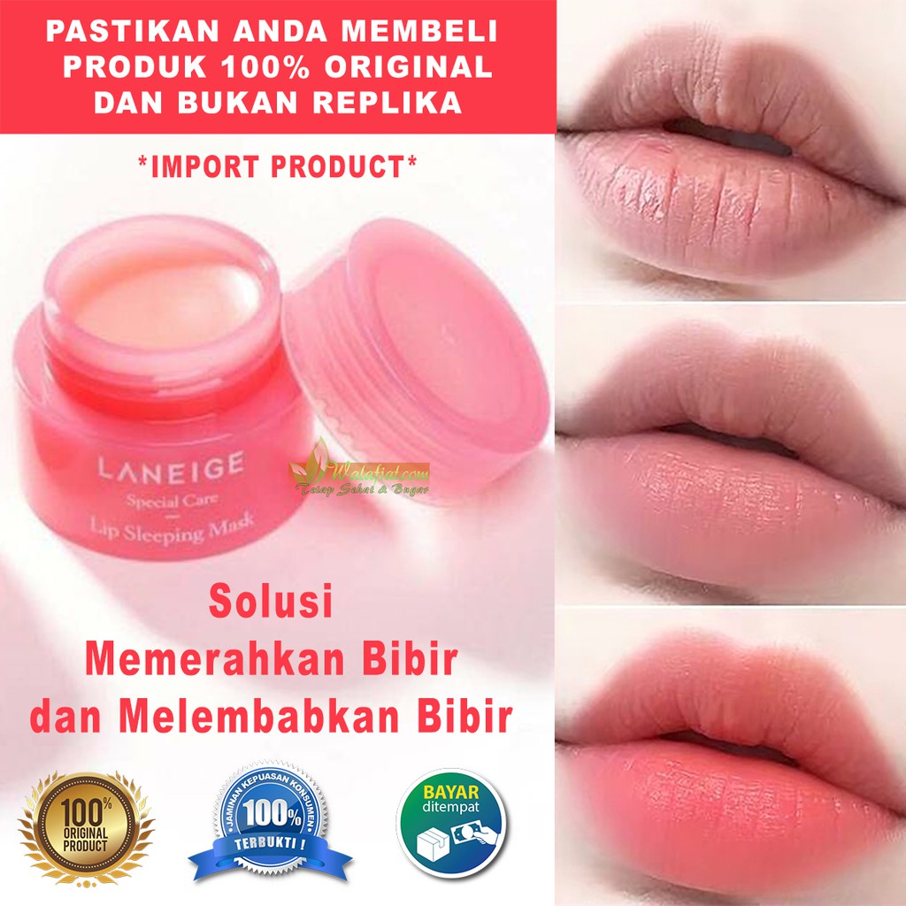 Laneige Lip Sleeping Mask Berry 3 Gr Original Balm Pelembab Pemerah Bibir Obat Salep Bibir Pecah Shopee Indonesia