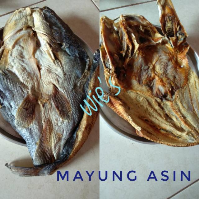 

Ikan Asing Mayung