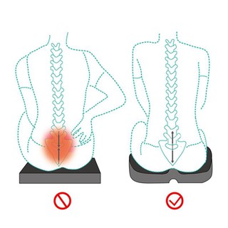 Alas Duduk Terapi Orthopedic  Coccyx Sciatica Punggung 