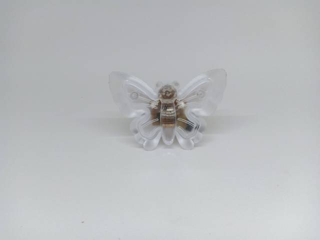 LAMPU TIDUR COLOK LUCU