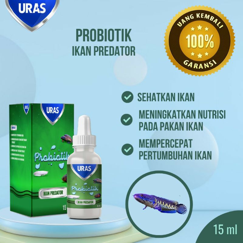 Vitamin Probiotik Obat Ikan Predator Arwana Golden Silver Channa Blue Pulchra Oscar Tiger Red Albino