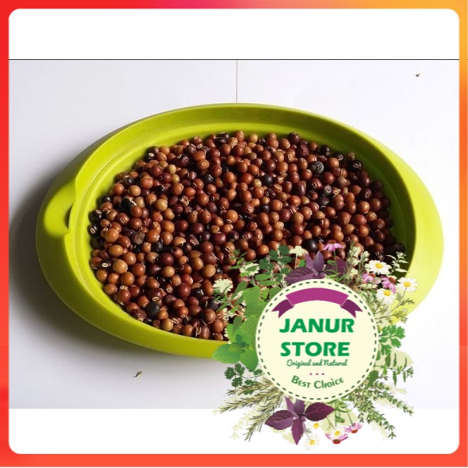 

BIJI KECIPIR 50 GRAM - BENIH KECIPIR - Psophocarpus Tetragonolobus - PREMIUM QUALITY