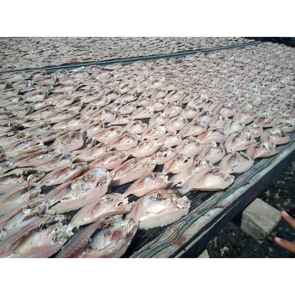 

ikan asin belah