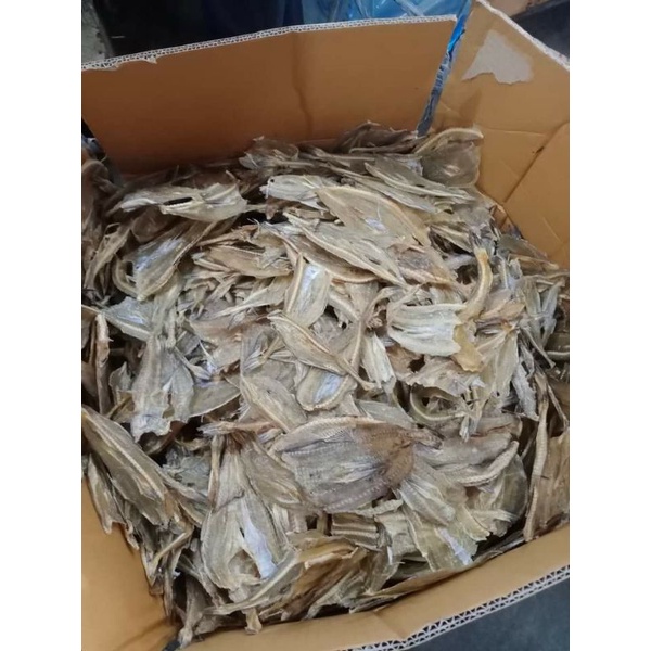 

Ikan Sitting 1kg Medan