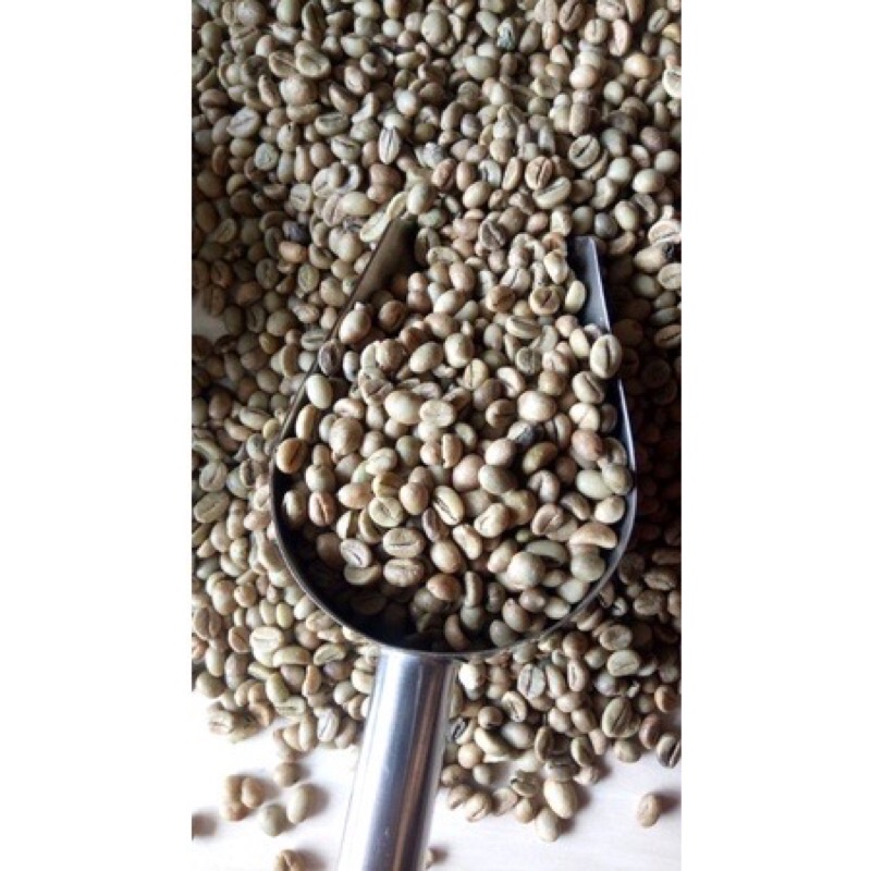 BIJI KOPI ROBUSTA PILIHAN / ROBUSTA BLITAR / BIJI KOPI MENTAH ROBUSTA / ROBUSTA CAMPUR