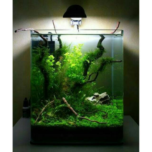 Nano Aquarium Full set