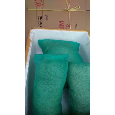 jaring bekas nelayan untuk filter kolam ikan koi sudah pakai waring 25×30 cm