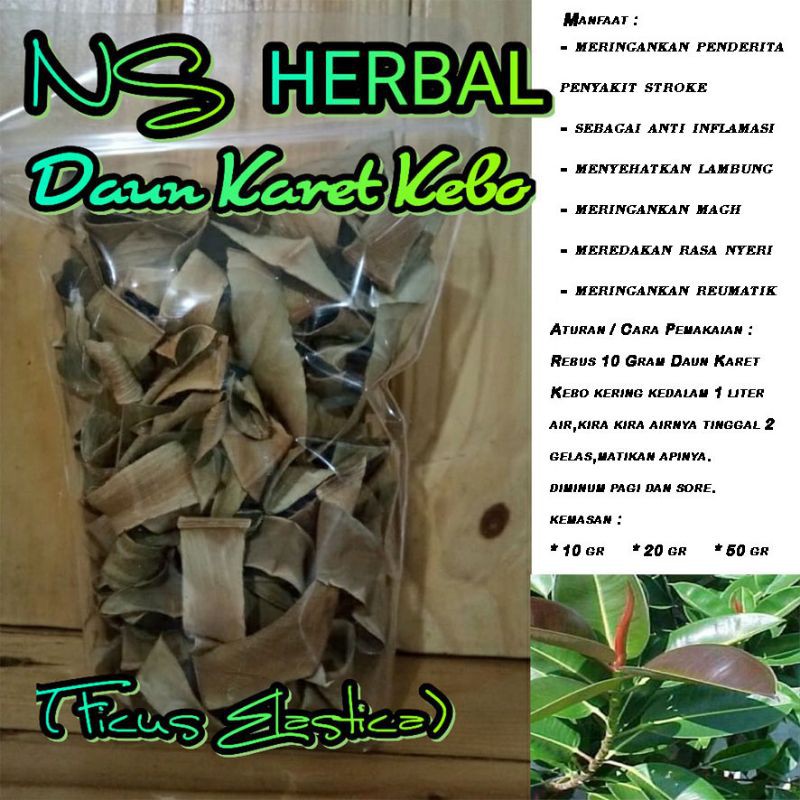 

Daun karet kebo obat stroke /lambung / herbal obat alami / @50 gram