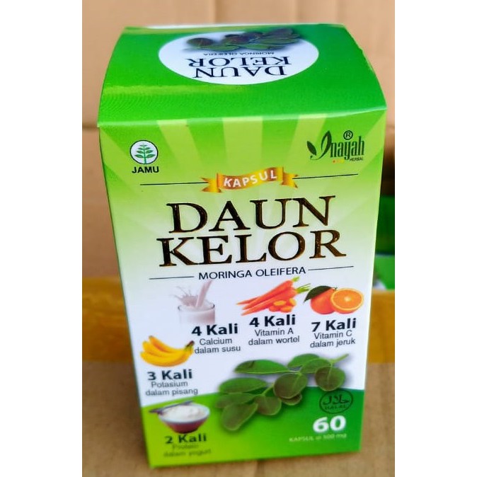 

Daun Kelor Inayah