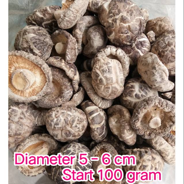 

Jamur shitake hioko huako 5-6 cm mulai 100 gr