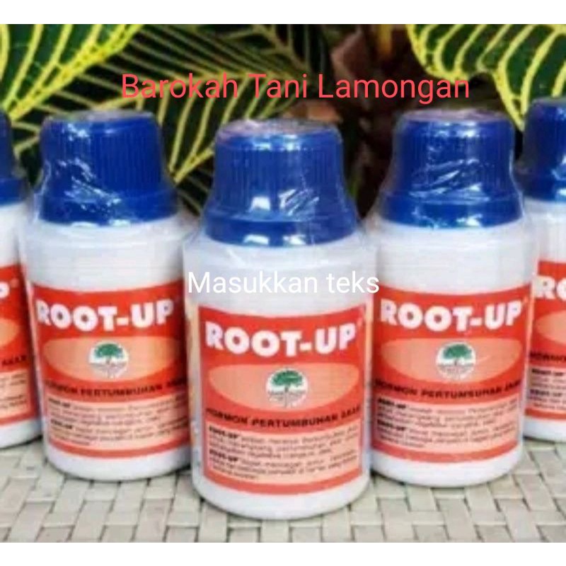 Root up