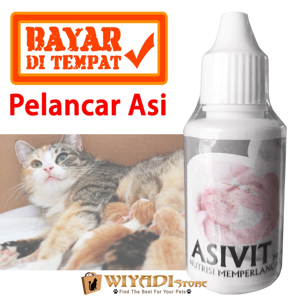 Asivit Cat - Nutrisi Memperlancar Asi Kucing Perbanyak Susu Kucing Terdaftar DEFTAN