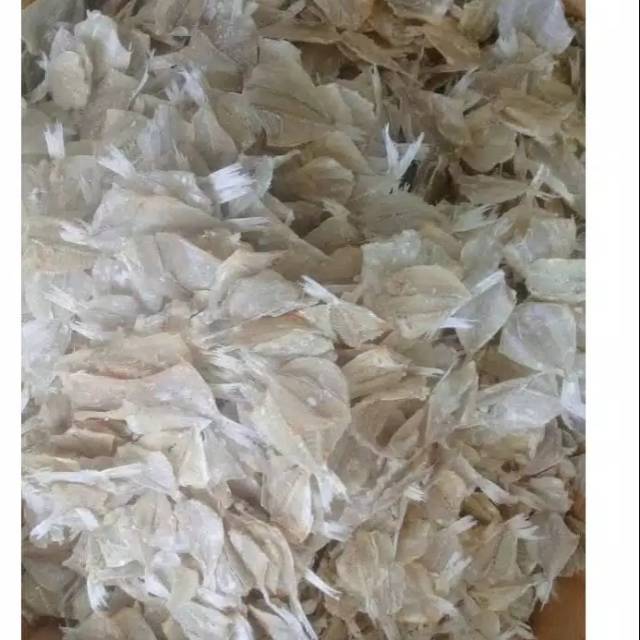 

Ikan pakang tawar 250 gram