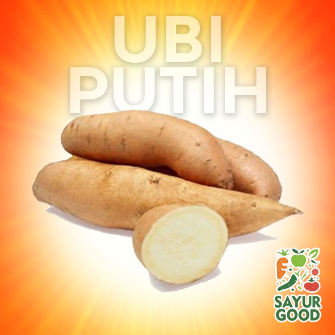 

Ubi Putih Merah Segar 1 Kg