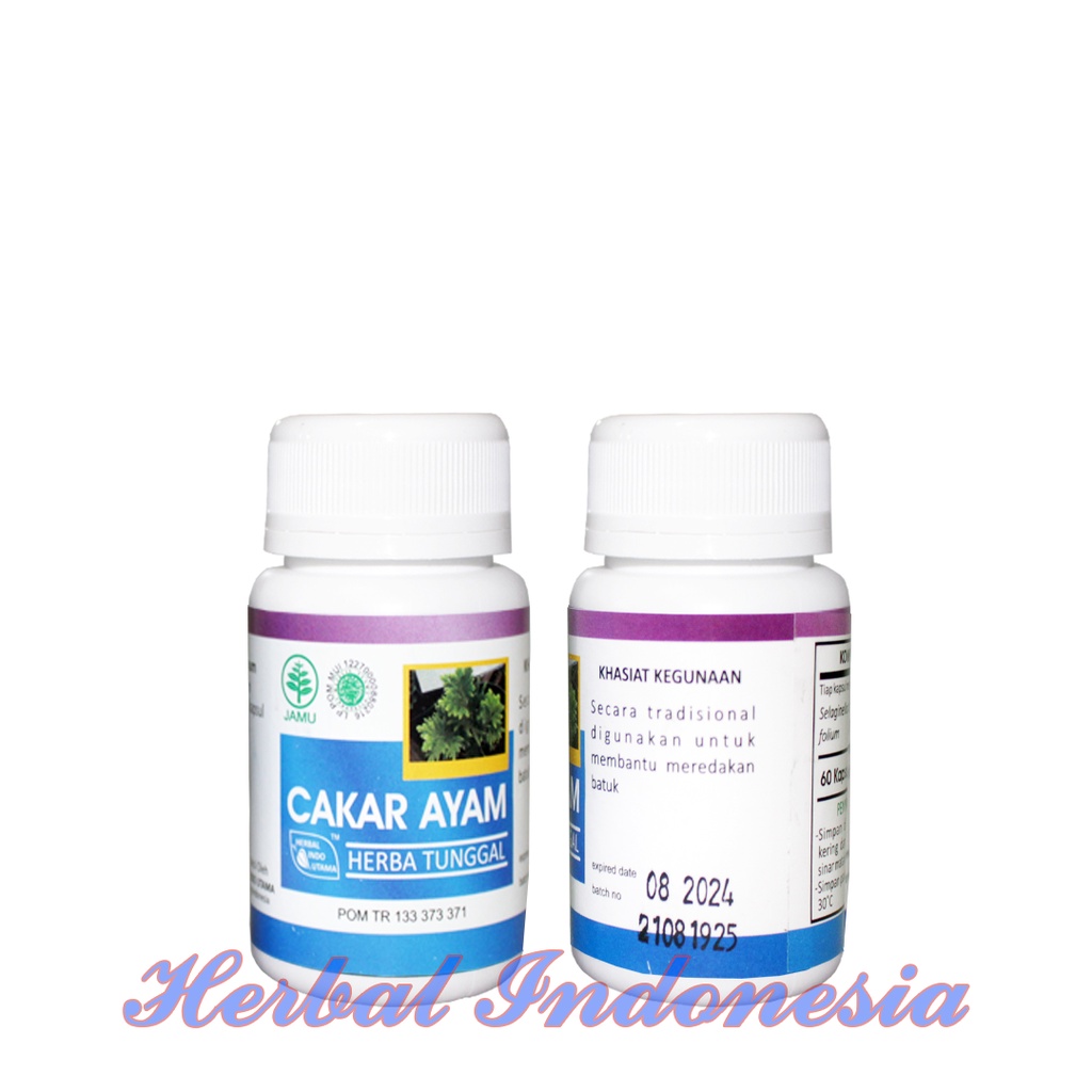 Kapsul Cakar Ayam HIU Isi 60 - Obat Sakit Tenggorokan - Herbal Cakar Ayam