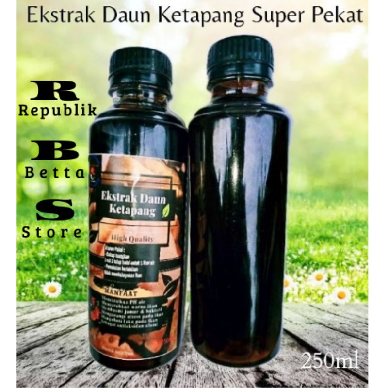 

EKSTRAK DAUN KETAPANG obat ikan hias cupang koi Super Pekat 250ml