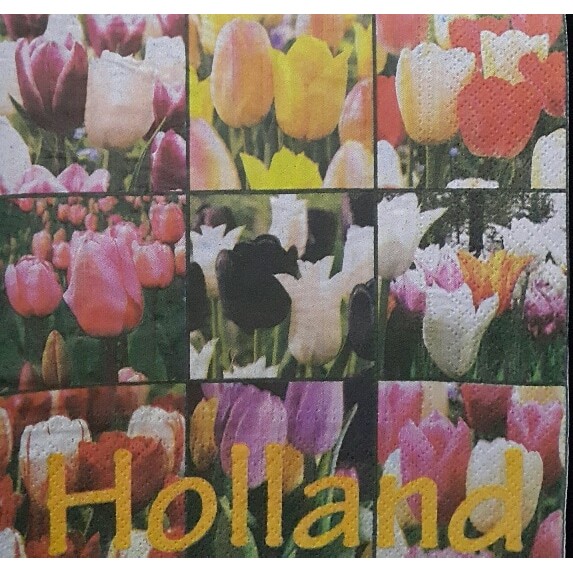 Decoupage Napkin - Tissue Decoupage 3Ply CT_Holland Colorful Tulip