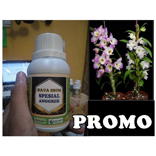 PUPUK ANGGREK TERBAIK