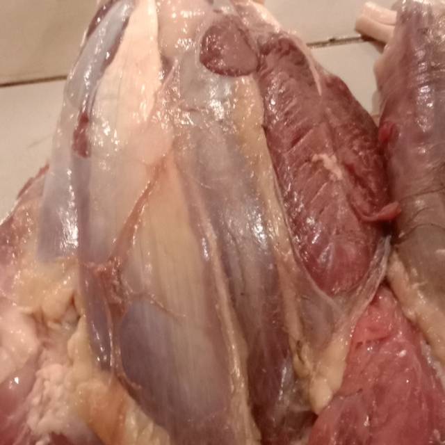 

Daging sengkel sapi / shank meat