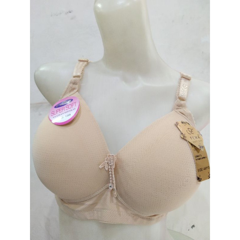 BRA BH CUP JUMBO CUP BESAR / KAIT 4 / FEMA TELLI - 48 , 50