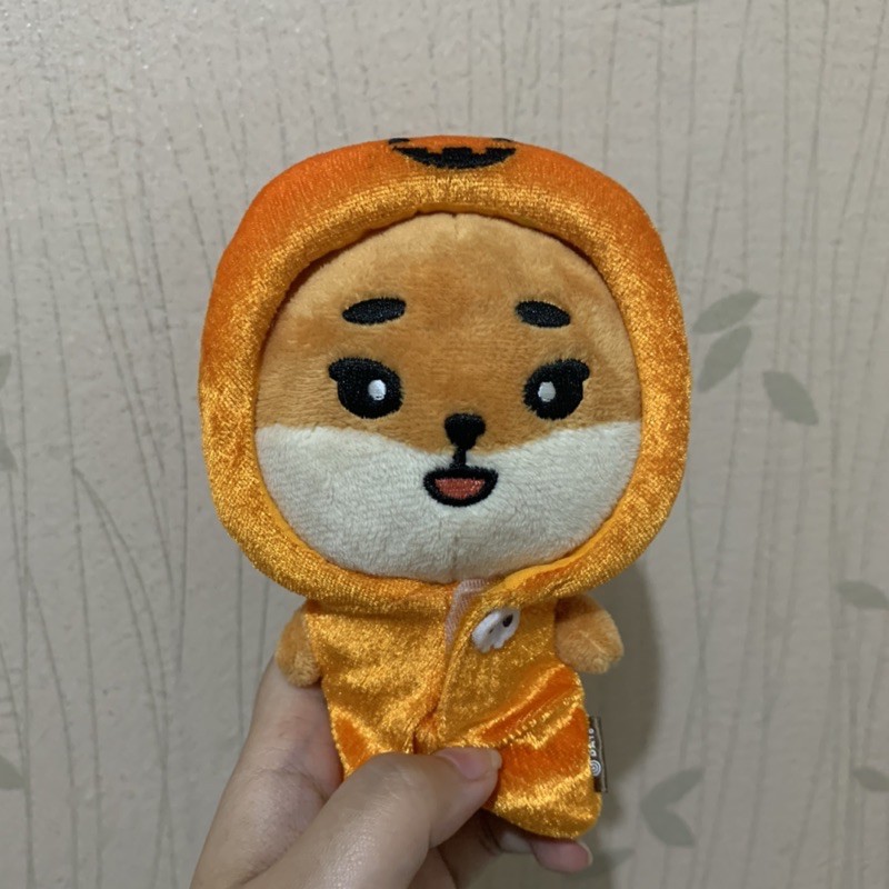 DAY6 Denimalz Costume Pumpkin Halloween