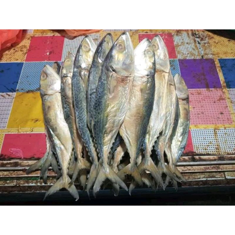 

ikan asin kembung