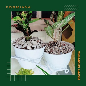 FM - Pot Bunga dan Tanaman Plastik 21 cm / POT BUNGA BENTUK SARANG TAWON warna putih - isi 6pcs/