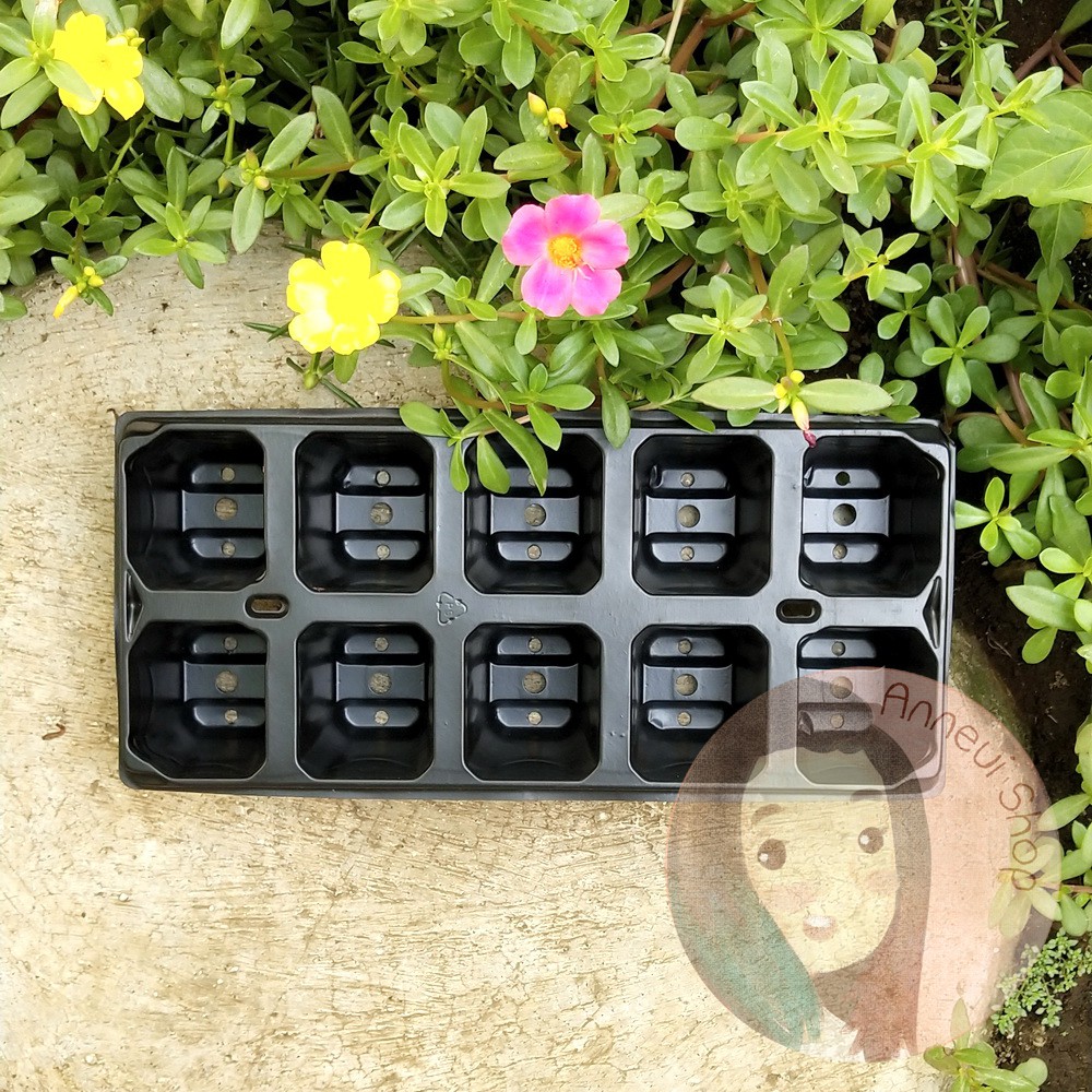 PT0003 - Tray 10 Lubang Untuk Semai Benih Bibit Biji Persemaian Tunas
