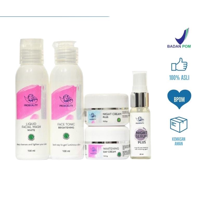 PROBEAUTY PAKET FLEK MELASMA GLOW WITH SR NIGHT PLUS