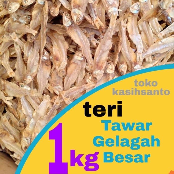 

teri tawar gelaga jumbo-1kg