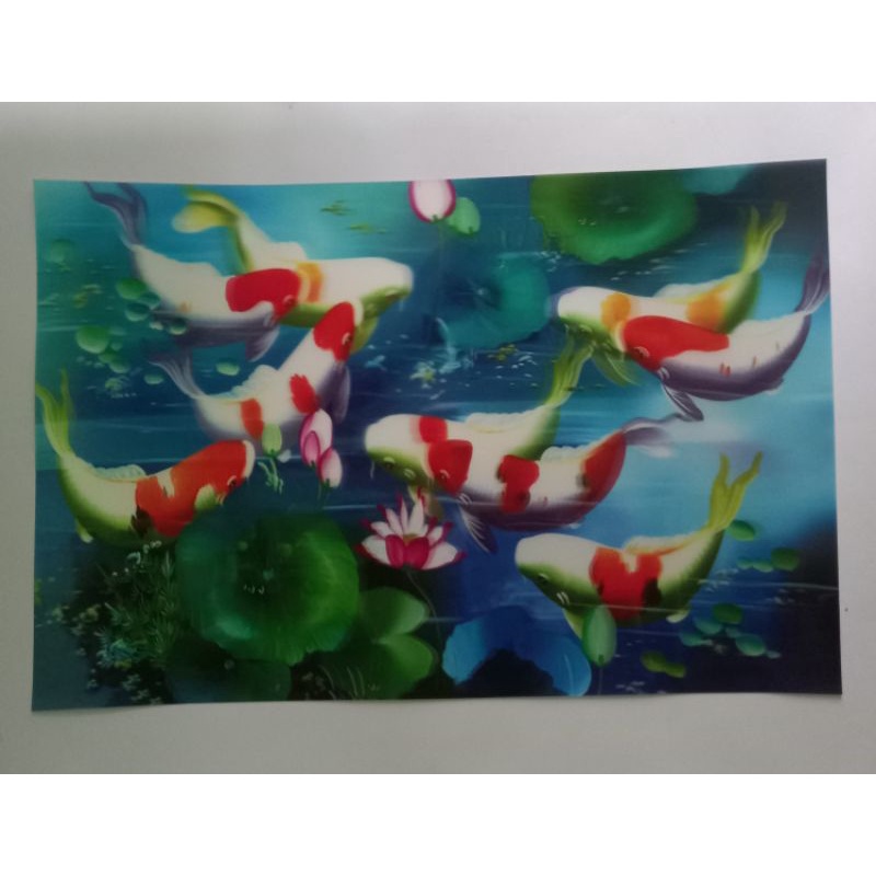 POSTER IKAN KOI EFEK 3D UKURAN  P 58 × L 38 CM