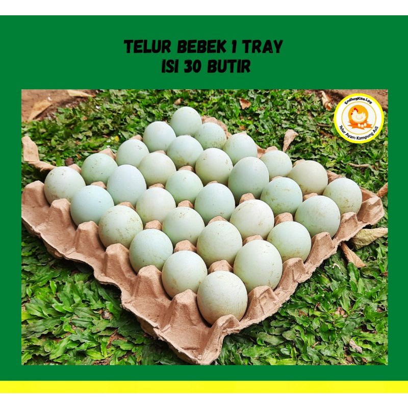 

Telur Bebek Organik Isi 30 Pcs/Butir