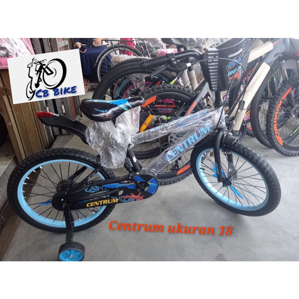 sepeda anak laki laki ukuran 18 centrum 18 ct 306/velion/ richbike TERMURAH