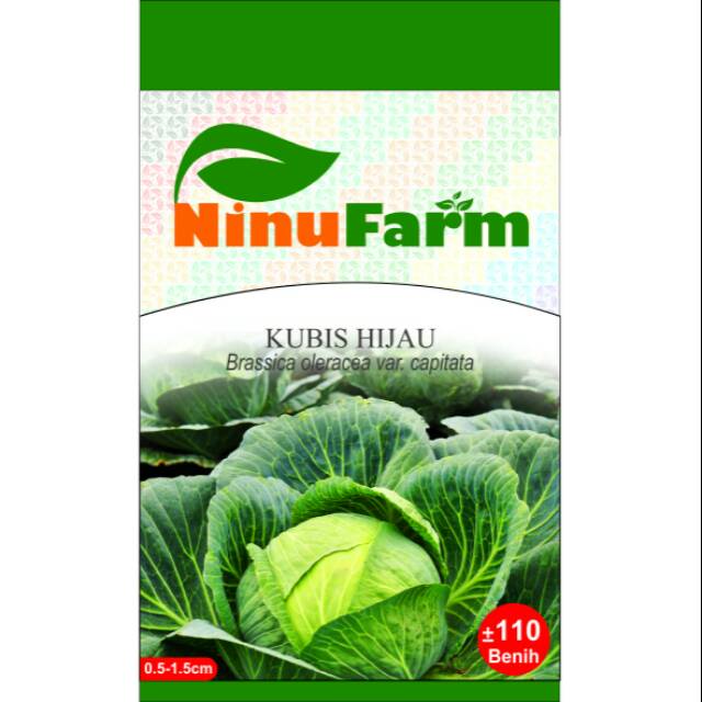 Jual Benih Kubis Hijau 110Seeds | Shopee Indonesia