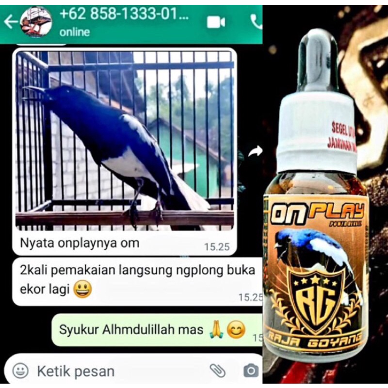 vitamin kacer ON PLAY doping penggacor burung kacer vitamin penggacor burung kacer RG raja goyang