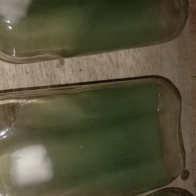 

Bibit jamur FO/PDA.F1,F2
