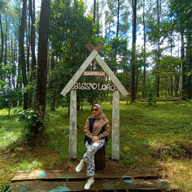 dheasulviaharahap