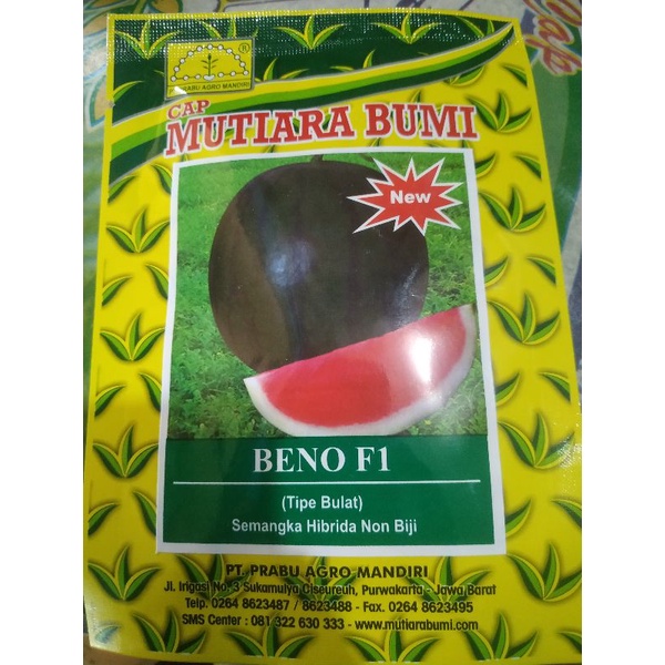 Benih semangka non biji BENO F1 300BTR