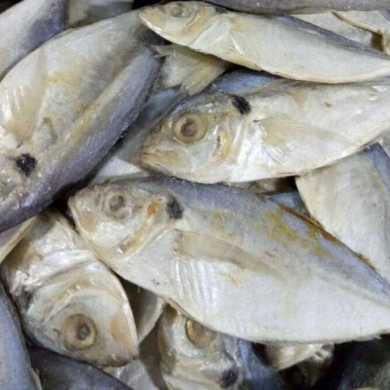 

ikan selar asin 1 kg