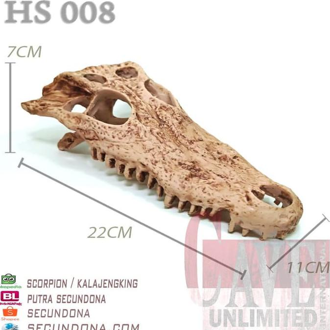 HS008 HIDING CAVE SKULL SKELETON TENGKORAK BUAYA CROCODILE FOR REPTILE