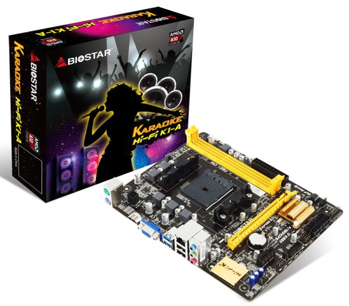 Biostar Hi-Fi K1-A FM2+ FM2 DDR3 Motherboard