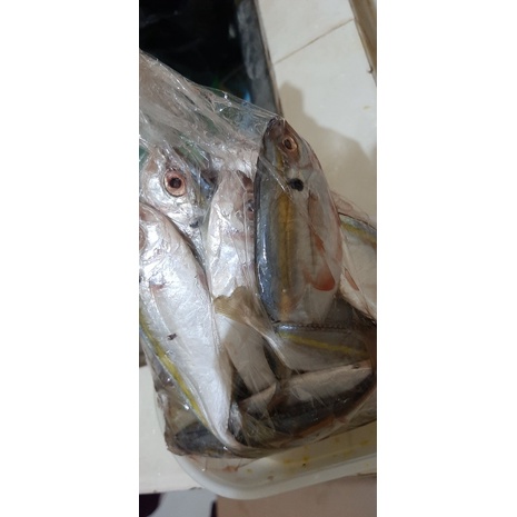 

ikan selar 500gr