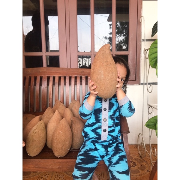 

Buah MAMEY SAPOTE KEYWES MAGANA / Sawo raksasa EMINA GARDEN
