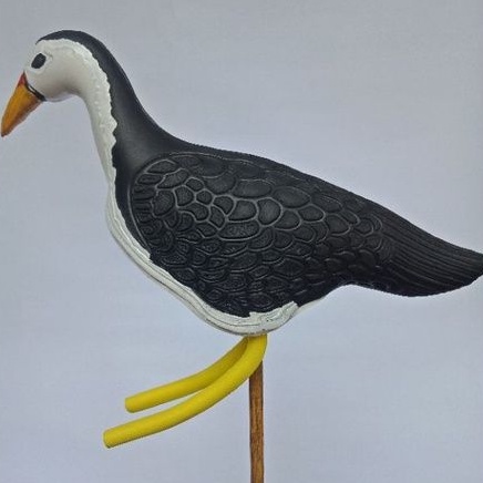 530+ Sketsa Gambar Burung Ruak Ruak HD Terbaik