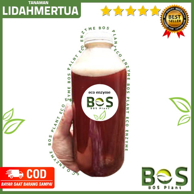 ECO ENZYME ORGANIC CAIRAN SERBAGUNA