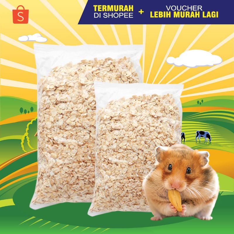 OAT 100 GR - Makanan Hamster Camilan Hamster Snack Hamster Rolled Oat Hamster 100 gr